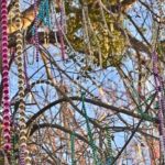 mardi gras bead tree new orleans